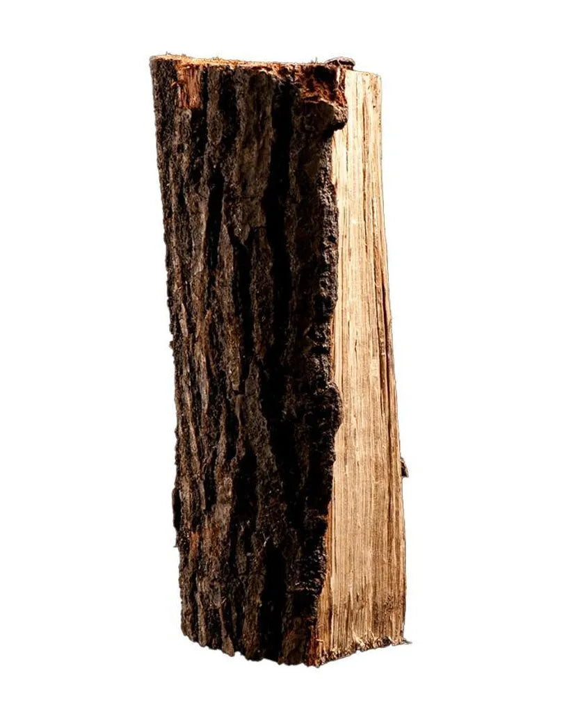Brennholz Birke 50 cm – 2 RM auf Palette | kammergetrocknet – Bild 3