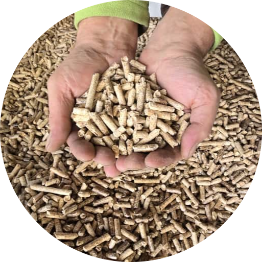 1000kg Eichen-Pellets - ENplusA1 - BigBag auf Palette