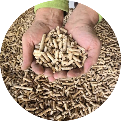 1000kg Eichen-Pellets - ENplusA1 - BigBag auf Palette