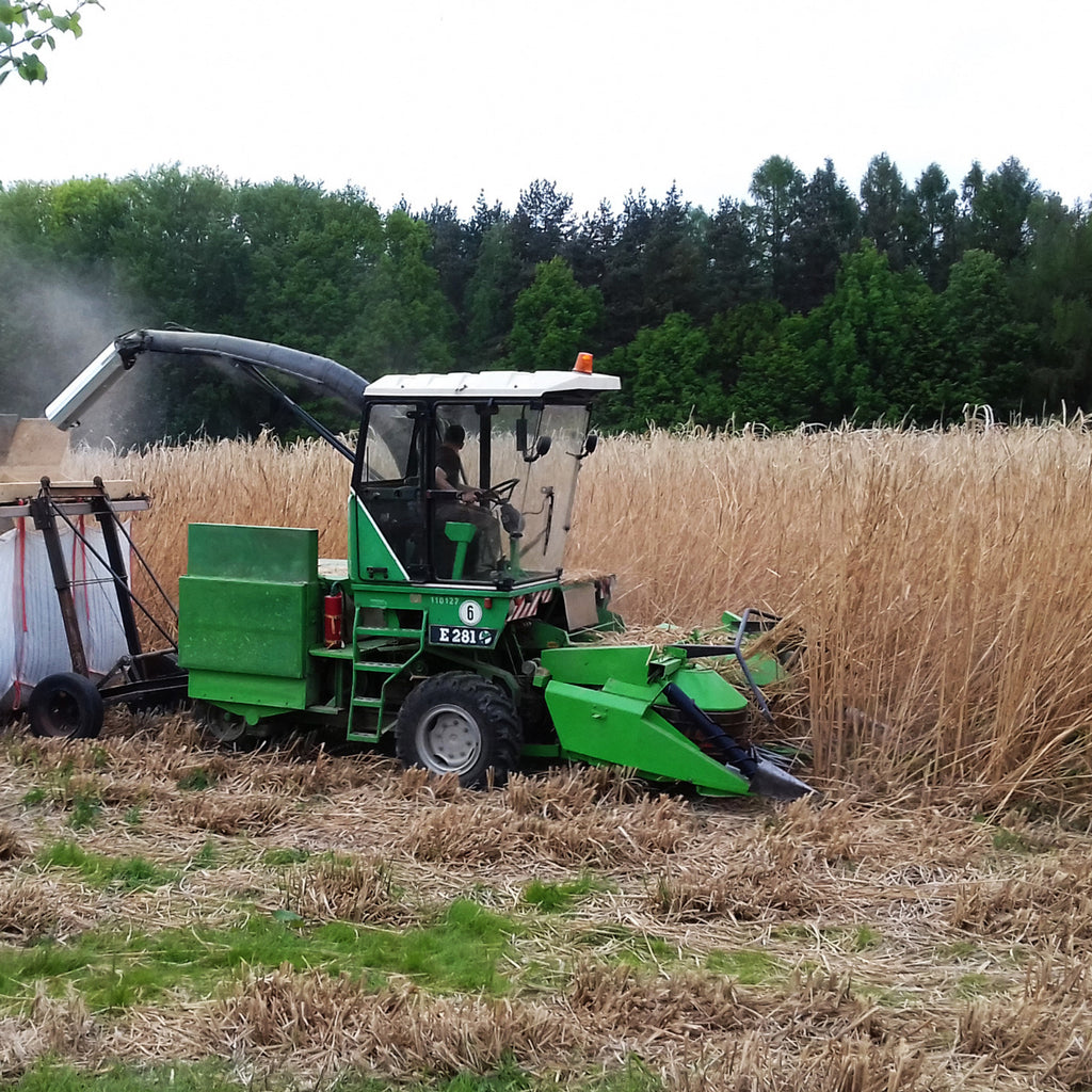 960kg Miscanthus Pellets als Brennstoff